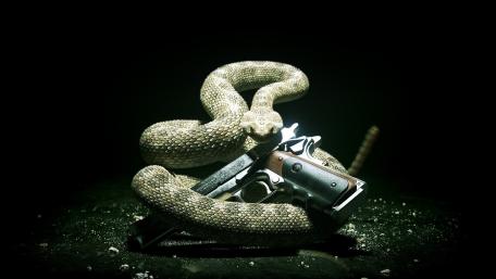 Snake and Steel: Untamed Power Display wallpaper