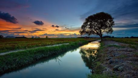 Serene Evening Reflections in Nature wallpaper