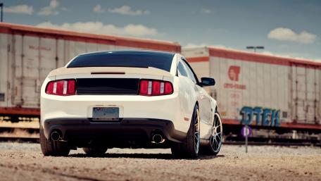 Sleek Shelby Mustang in a Dynamic Setting wallpaper