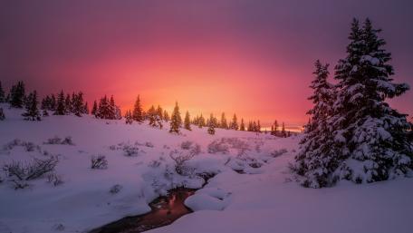 Pink Winter Sky Over Snowy Creek wallpaper