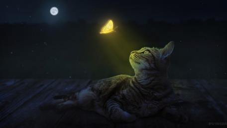 Midnight Dreams in a Fantasy Realm wallpaper