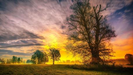 Majestic Sunset Over a Serene Landscape wallpaper