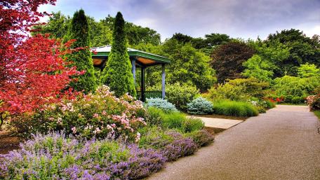 Serene Botanical Garden Escape wallpaper