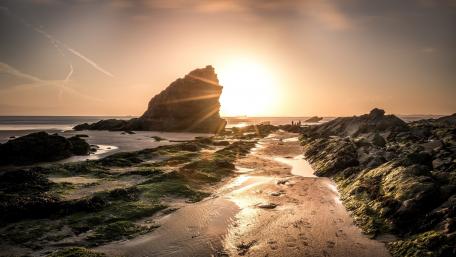 Golden Sunset Over Serene Shoreline Landscape wallpaper