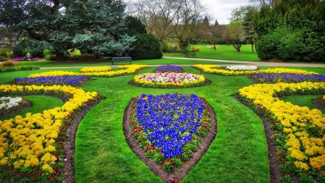 Vibrant Blooms in a Serene Botanical Garden wallpaper