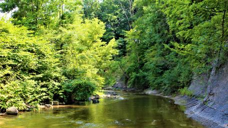 Peaceful creek wallpaper