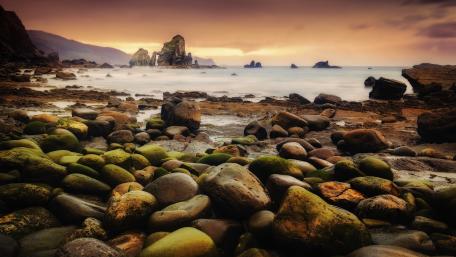 Tranquil Shoreline at Dusk wallpaper