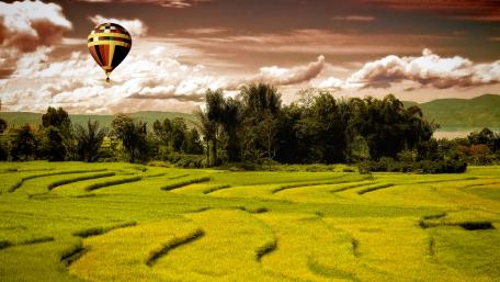 Scenic Hot Air Balloon Over Terrace Fields wallpaper