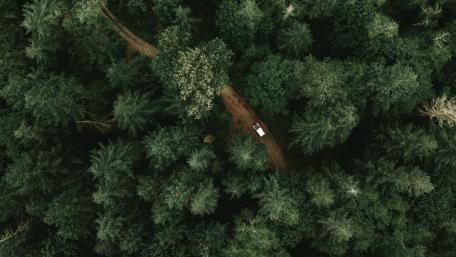Serene Aerial View of a Forest Road wallpaper
