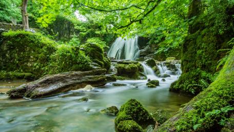 Janet's Foss wallpaper