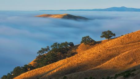 Serene Sea of Clouds Above Rolling Hills wallpaper