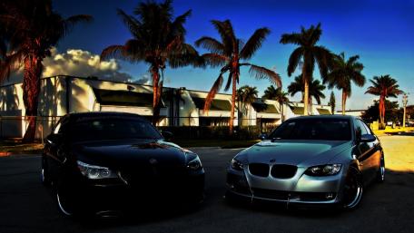 Sleek BMWs Under Palm Trees wallpaper