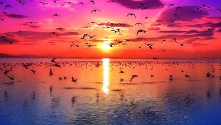 Epic sunset wallpaper