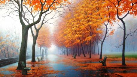 Autumn Hues Embrace Park Benches wallpaper