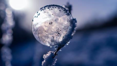 Icy Soap Bubble in Winter Wonderland wallpaper