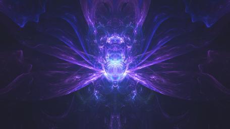 Dragonfly wallpaper
