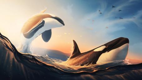 Whales jumping wallpaper