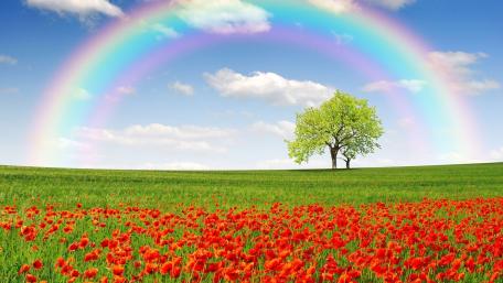Rainbow wallpaper