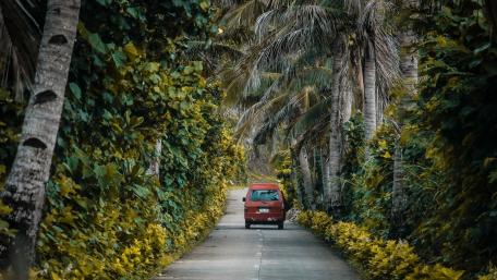 Tropical Escape Down a Serene Roadway wallpaper