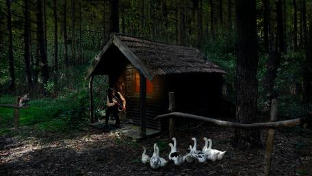 Whimsical Ducks and a Cozy Cottage Scene wallpaper