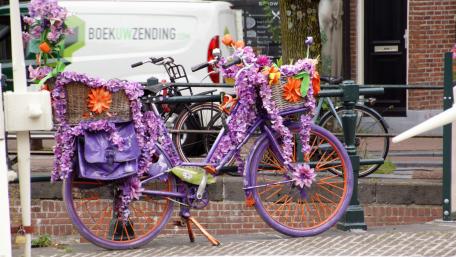 Vibrant Floral Bicycle in Purple Shades wallpaper