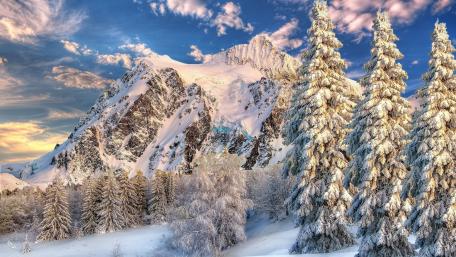 Snow wallpaper