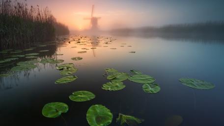 Serene Sunset Over Foggy Waters wallpaper