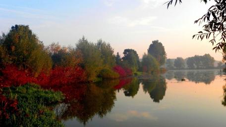 Peaceful Wetland Reflections in Autumn Colors wallpaper