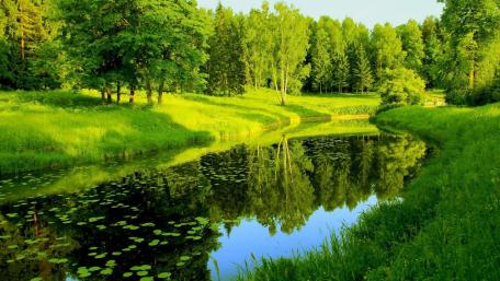 Serene River and Lush Greenery wallpaper