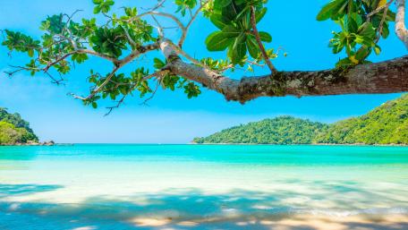 Tropical Paradise with Azure Waters wallpaper