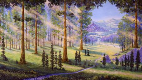 Moonlight Forest wallpaper