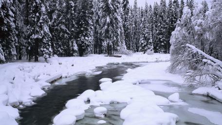 Snow wallpaper