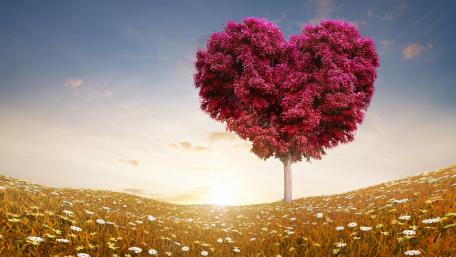 Tree heart wallpaper