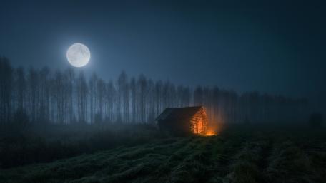 Moonlit Serenity in the Wilderness wallpaper