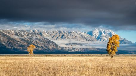Majestic Mountains and Golden Plains wallpaper