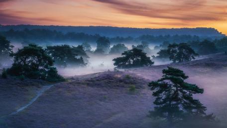 Serene Foggy Landscape at Dusk wallpaper