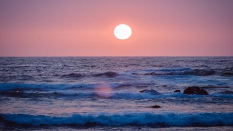 Serenity of a Pink Sunset Coast wallpaper