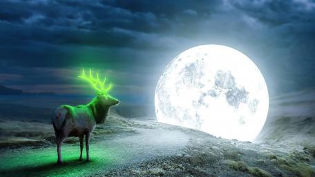 Mystical Stag Beneath a Glowing Moonlight wallpaper