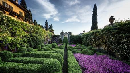 Villa Capponi garden wallpaper