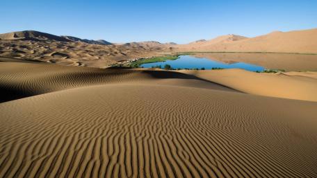 Desert Oasis Serenity wallpaper