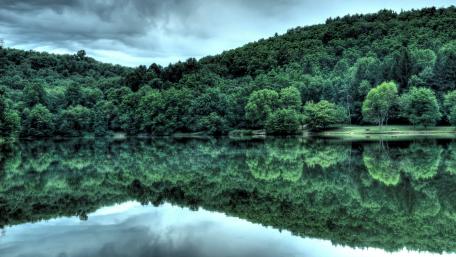 Serene Green Reflections in Nature wallpaper