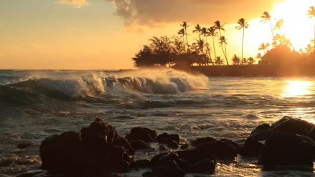 Golden Waves at Sunset Over Tranquil Shores wallpaper