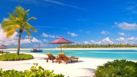 Tropical Paradise Getaway Experience wallpaper