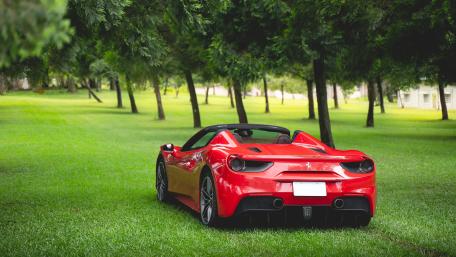 Ferrari 488 Spider in Lush Greenery wallpaper