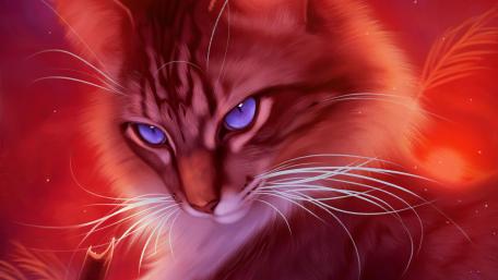 Mystical Cat with Blue Eyes wallpaper