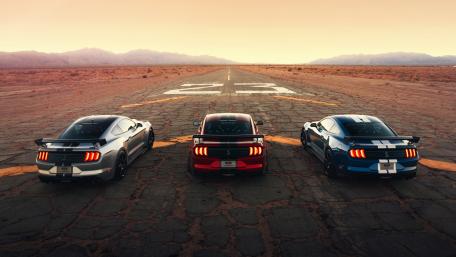 Muscle Power on the Runway wallpaper