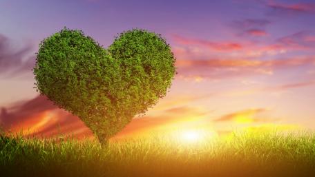Heartfelt Nature at Sunset wallpaper