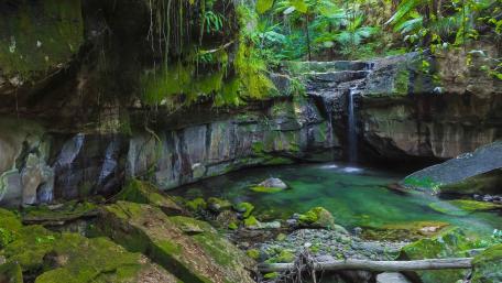 Serene Oasis with Waterfall and Pond wallpaper