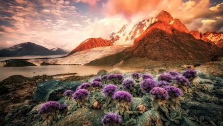 Majestic Mountains and Vibrant Wildflowers wallpaper