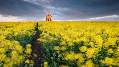 Chesterton Windmill wallpaper